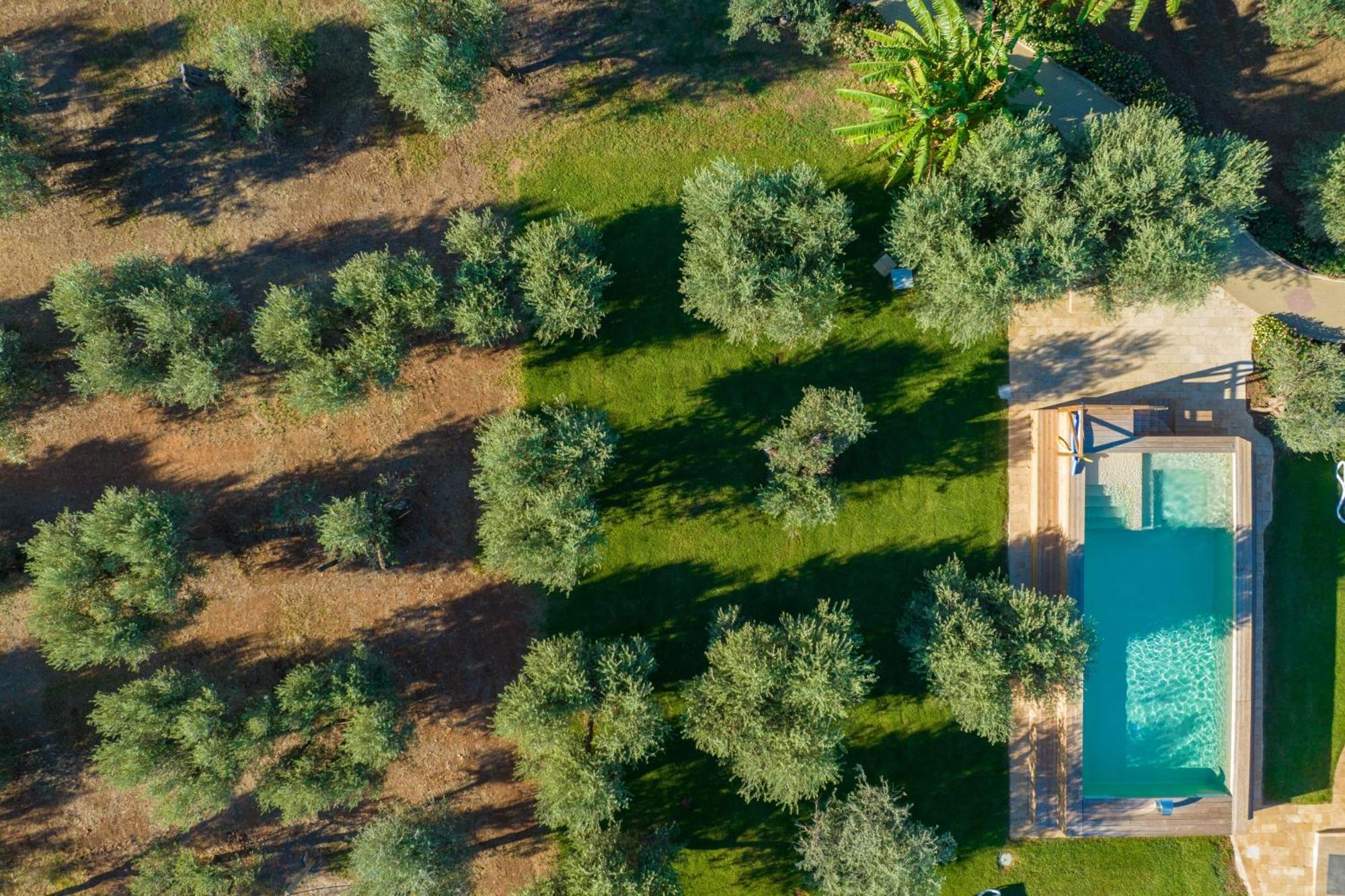 Dimora Tenuta Solentino トッレ・サン・ジョヴァンニ・ウジェント エクステリア 写真