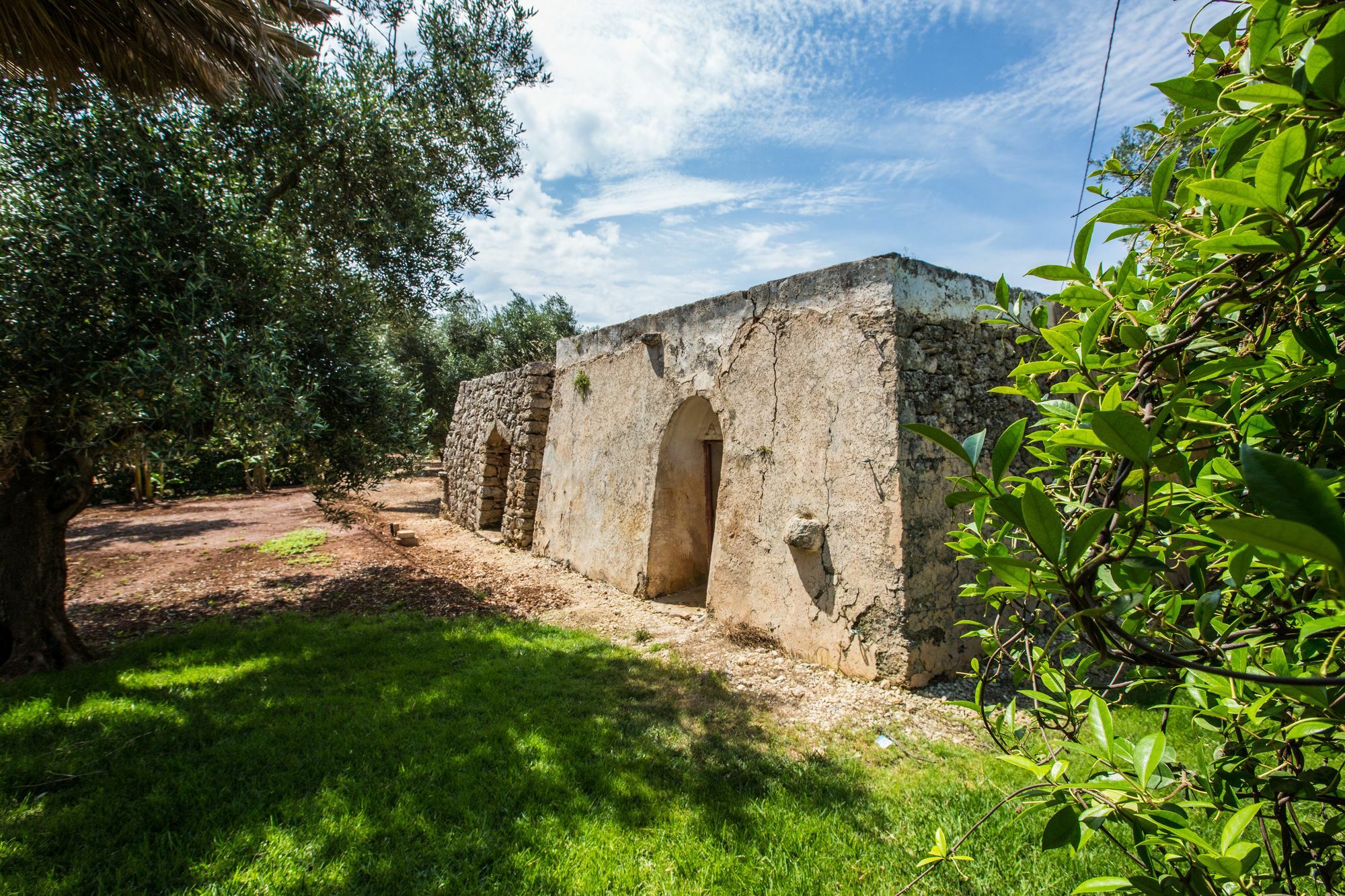 Dimora Tenuta Solentino トッレ・サン・ジョヴァンニ・ウジェント エクステリア 写真
